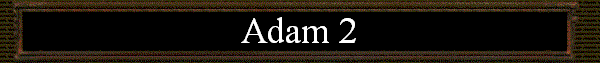 Adam 2